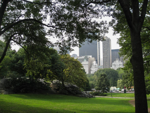 istock Central Park New York City 812148656