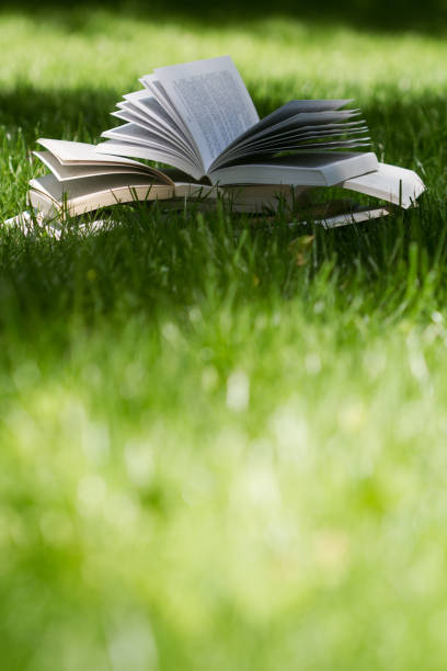 istock open books on grass in a green park 812148914