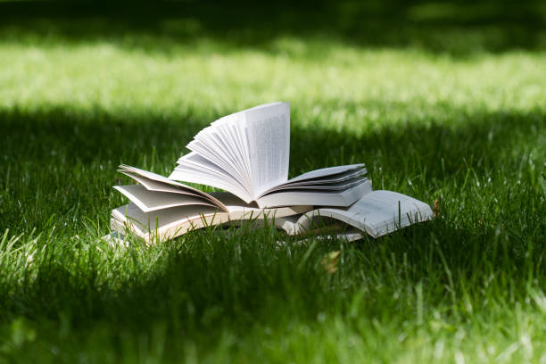 istock open books on grass in a green park 812148930