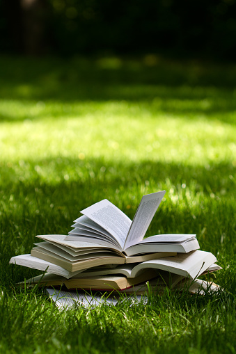 vertical side view of many open books on top of each other standing on green grass in park in the shadows of the trees