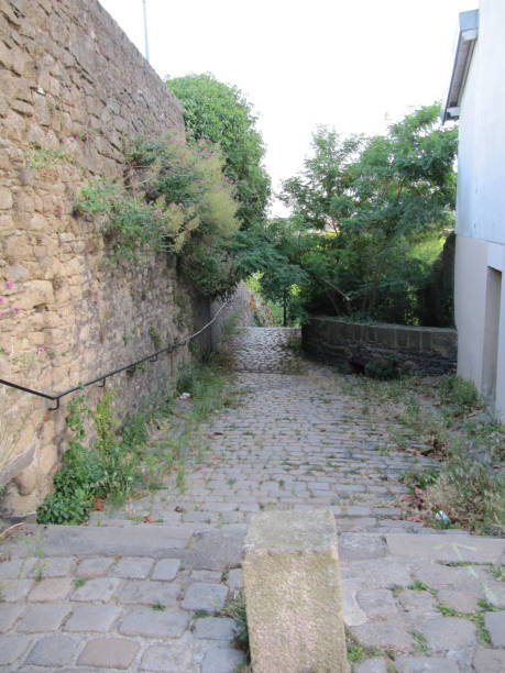 istock Cobbled street in the city 812153382
