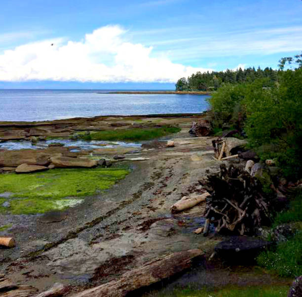 istock Oceans on Vancouver Island 812163560