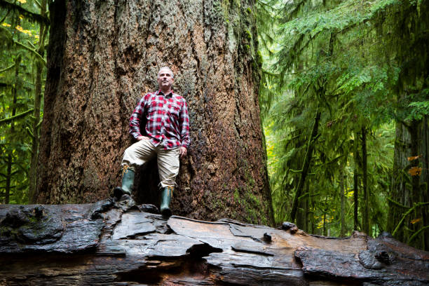 istock MacMillan Provincial Park Cathedral Grove Vancouver Island 812163868