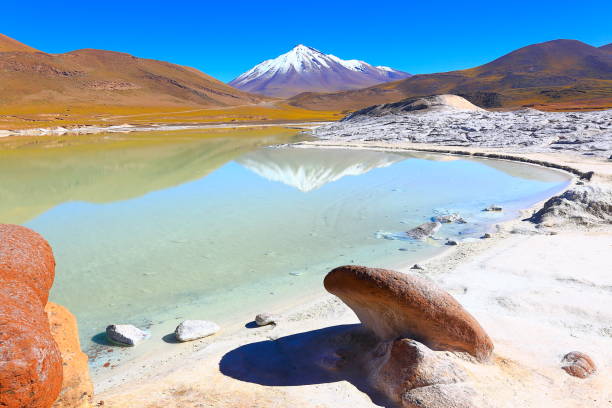 salar de talar und miniques schneebedeckten vulkan - gespiegelt türkisblauen see, reflexion und piedras rojas (roten steinen) felsformation bei sonnenaufgang, idyllische atacama-wüste, vulkanische landschaft panorama – san pedro de atacama, chile, bolivien und argentinien grenze - stony desert stock-fotos und bilder