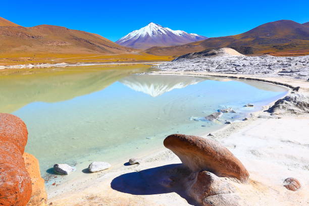 салар-де-талар и miniques заснеженный вулкан - бирюзовое озеро зеркально отражение и piedras rojas (красные камни) скальное образование на восходе сол - altiplano стоковые фото и изображения