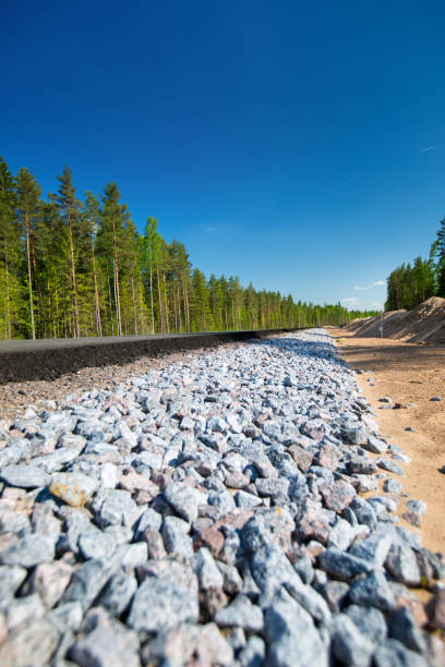Unfinished asphalt country road in pine forest