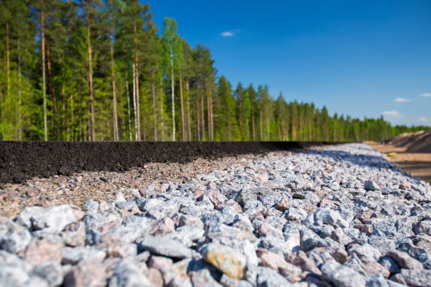 istock Unfinished asphalt country road in pine forest 812199414
