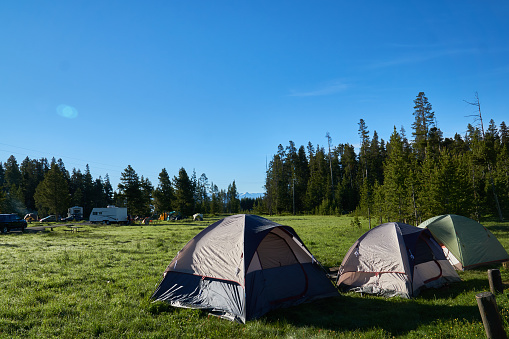 Campsites in Yellowstone National Park at beautiful Bridgebay Campground in the morning
