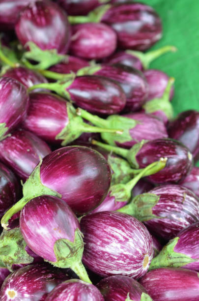 istock Pile of selected fresh eggplants 812204484