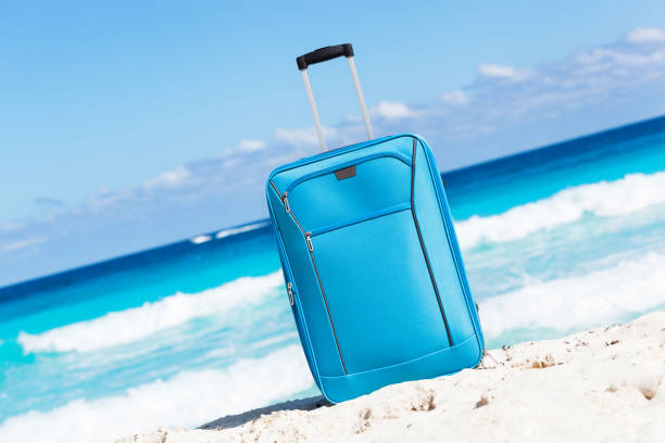 istock Travel trolley on tropical seaside 812207110