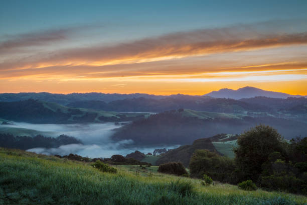 góra diablo - mt diablo state park zdjęcia i obrazy z banku zdjęć