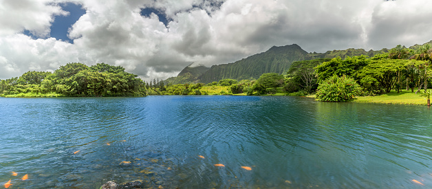 A panoramic view of the lake at Hoomaluhia Botanical Gardens in Kaneohe on Oahu, Hawaii