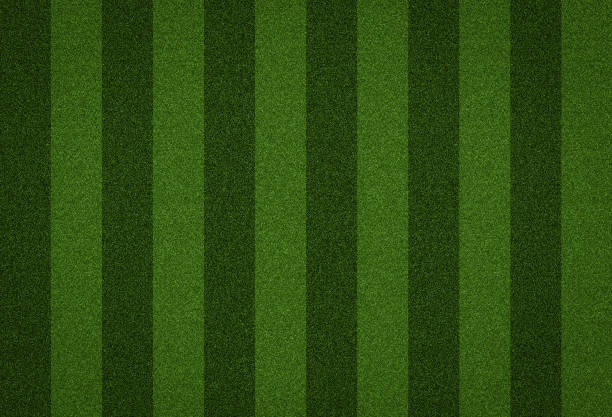 green grass soccer field background - soccer soccer field artificial turf man made material imagens e fotografias de stock