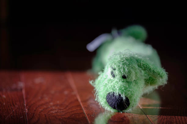 istock Pet toy on hardwood floor 812286730