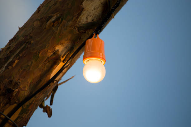 istock The bulb burns on a wooden pole 812302988