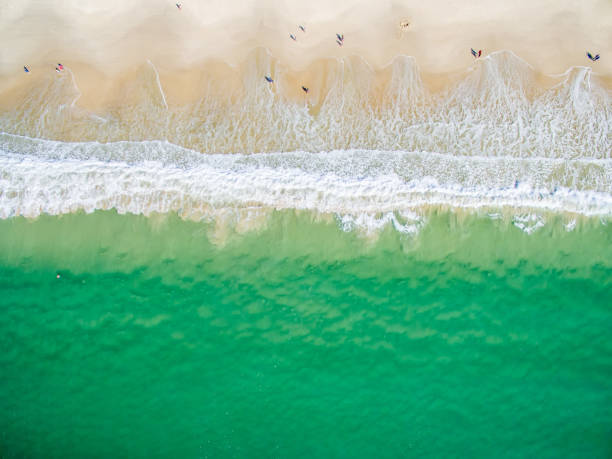 istock An aerial view of the beach 812322250