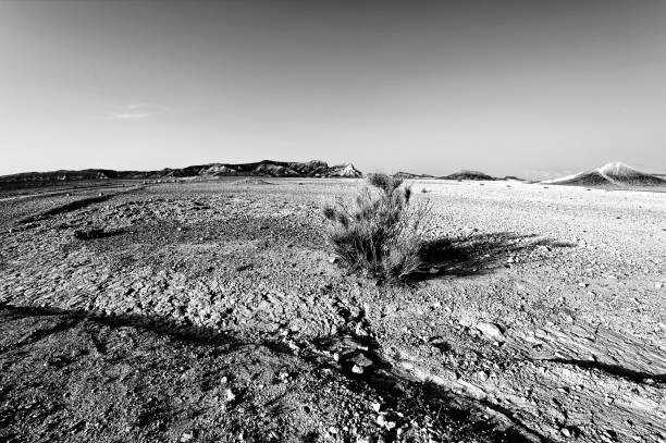 istock Negev Desert in Israel 812322360