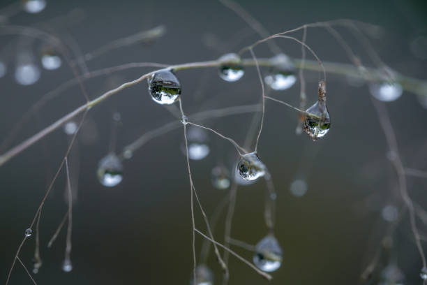 istock Close up of a rain water drops 812324648
