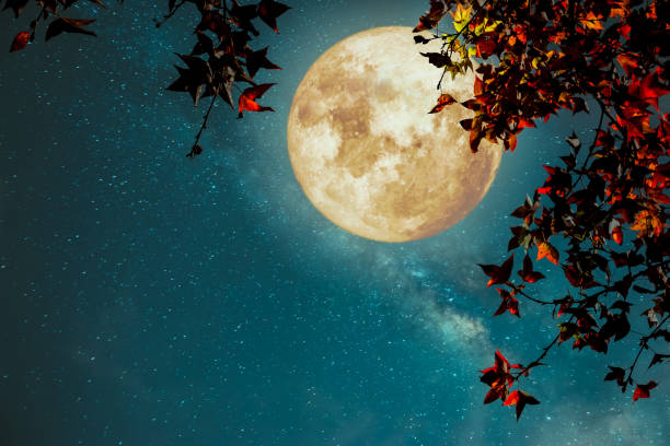 istock Beautiful autumn fantasy 812332214