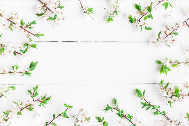istock Frame made of apple tree flowers. Flat lay, top view 812341012