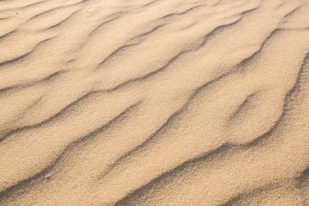 istock Sand Texture in morning at koh lanta ,Thailand 812341302