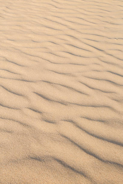 istock Sand Texture in morning at koh lanta ,Thailand 812351028