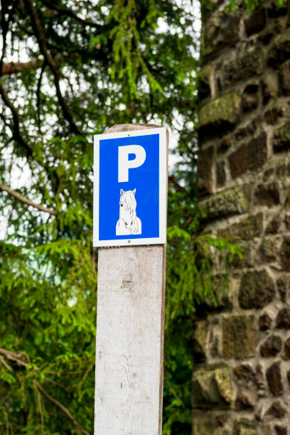 Horse Crossing Road Sign