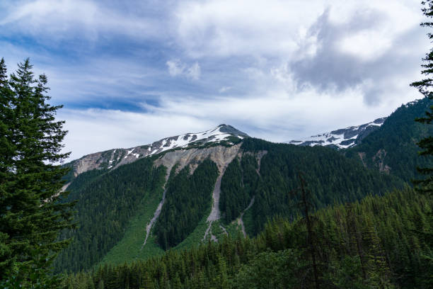 istock Emmons Moraine, Mt. Rainier National Park 812361230