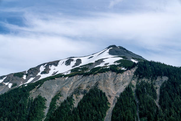 istock Emmons Moraine, Mt. Rainier National Park 812363616