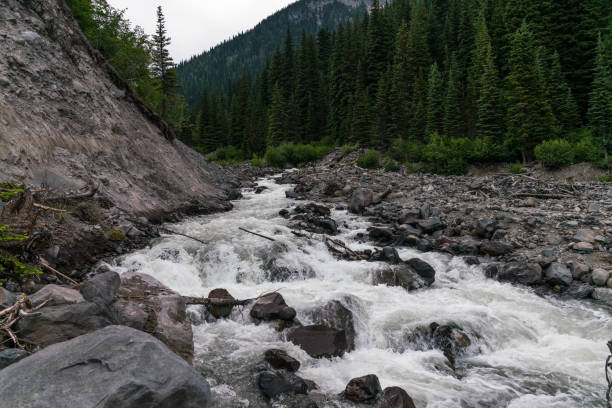 istock Emmons Moraine, Mt. Rainier National Park 812363648
