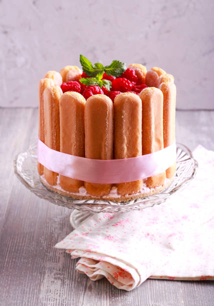 Raspberry charlotte cake served Raspberry charlotte cake served on stand plate yogurt fruit biscotti berry fruit stock pictures, royalty-free photos & images