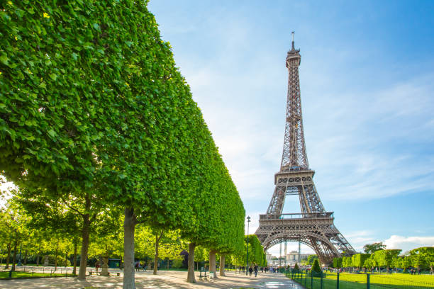 istock Eiffel Tower in Paris, France 812392998
