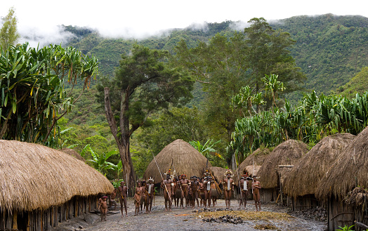 General view of the village of Dani tribe. July 2009, 2012 The Baliem Valley, Indonesian, New Guinea