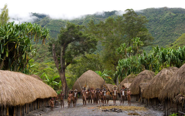 ogólny widok na wioskę plemienia dani. - papua new guinea zdjęcia i obrazy z banku zdjęć