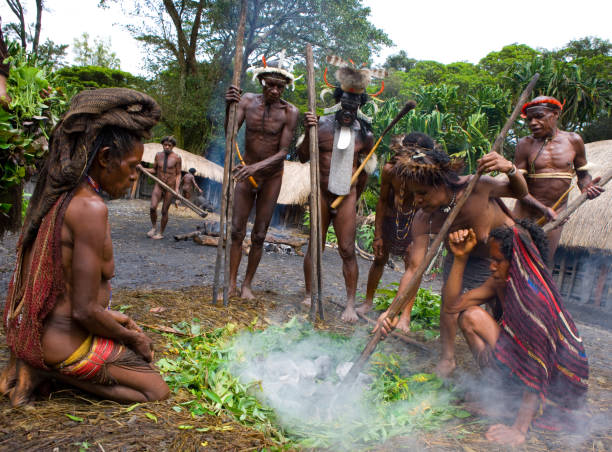 Women Dani tribe in the village are the hot stones for cooking meat. Women Dani tribe in the village are the hot stones for cooking meat. July 2009, 2012 The Baliem Valley, Indonesian, New Guinea stone age stock pictures, royalty-free photos & images