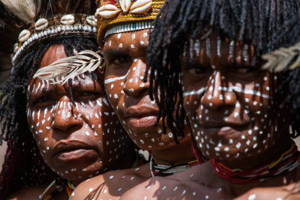 Portrait of Woman Dani tribe in ritual coloring on the body and face. Portrait of Woman Dani tribe in ritual coloring on the body and face. May 15, 2012 The Baliem Valley, Indonesian, New Guinea dani stock pictures, royalty-free photos & images