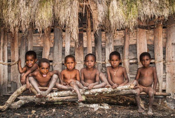 Children in the village of Dani tribe. Children in the village of Dani tribe. May 15, 2012 The Baliem Valley, Indonesian, New Guinea dani stock pictures, royalty-free photos & images