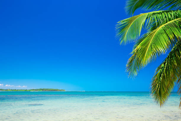 istock beautiful beach and tropical sea 812398354