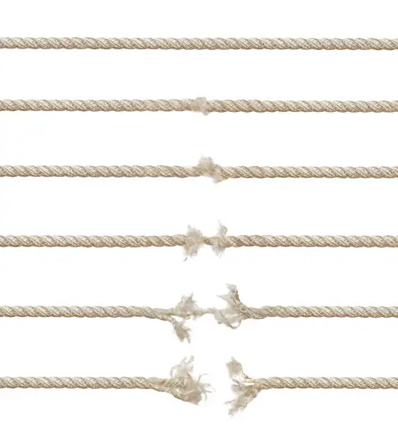 Set of ropes isolated on white background