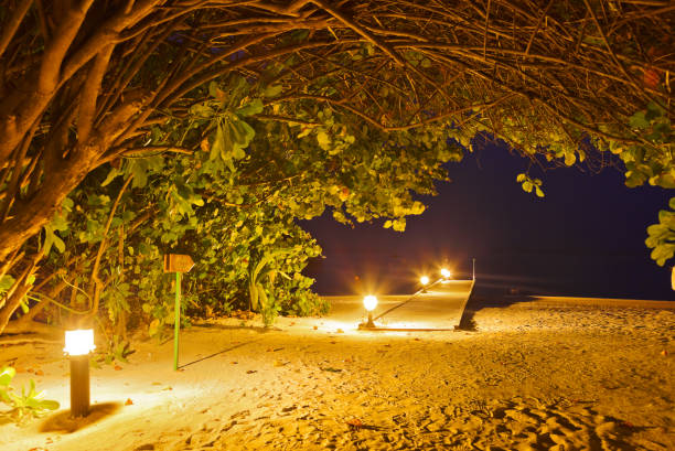 istock Jetty beach at sunset - Maldives 812401460