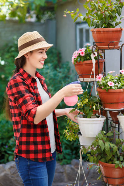 istock gardener spraying water on plants 812405168