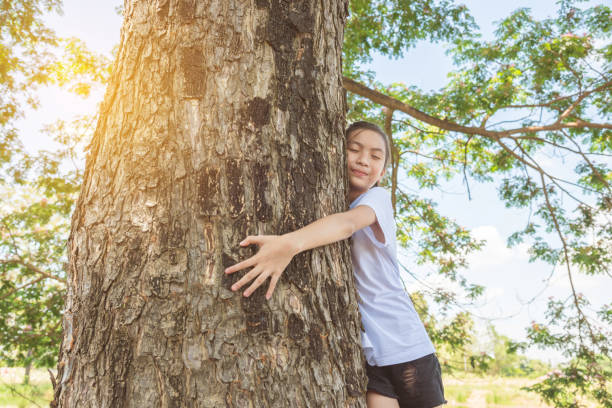 istock Young girl hugging tree trunk in park 812425640