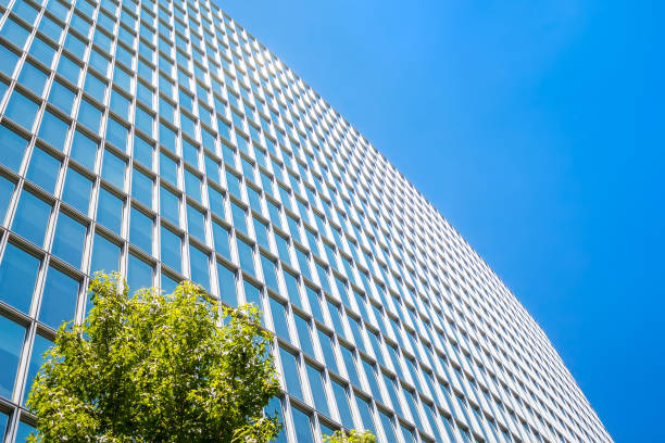 istock Modern office building with green leaves 812443808