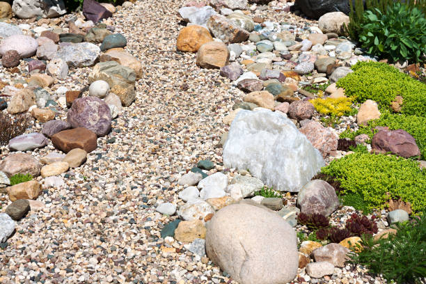 istock garden with design from garden plants and stones. 812449288