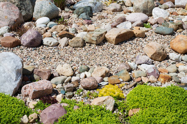istock garden with design from garden plants and stones. 812451538