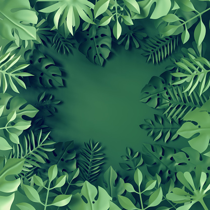 3d render, tropical paper leaves, blue scene background, jungle, frame