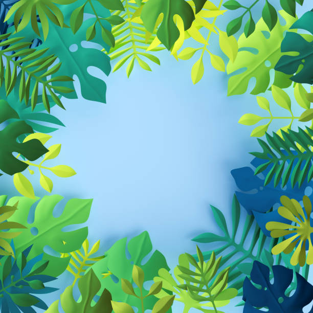 istock 3d render, tropical paper leaves, blue scene background, jungle, frame 812451930