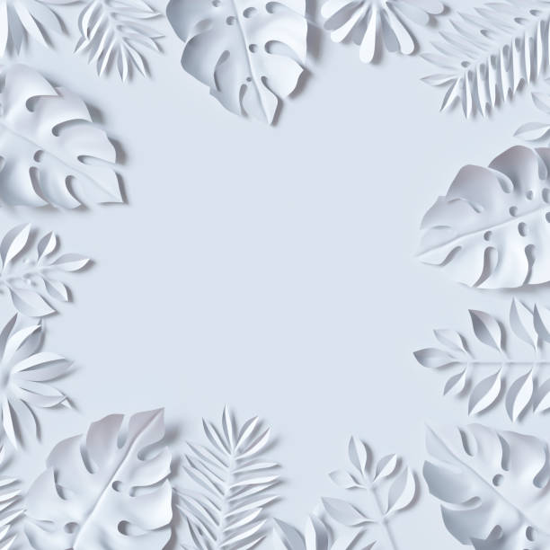 istock 3d render, tropical paper leaves, jungle wallpaper, square frame, white background 812452010