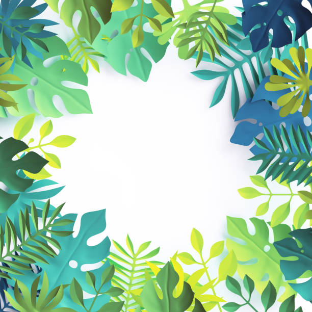 istock 3d render, tropical paper leaves, blue scene background, jungle, frame 812452088