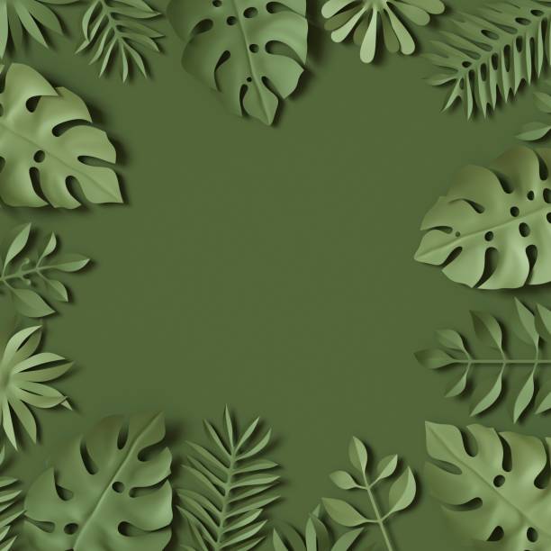 istock 3d render, tropical paper leaves, green scene background, jungle, frame 812452144